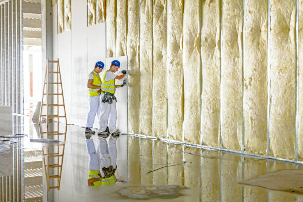 Best Wall Insulation Installation  in New Athens, IL